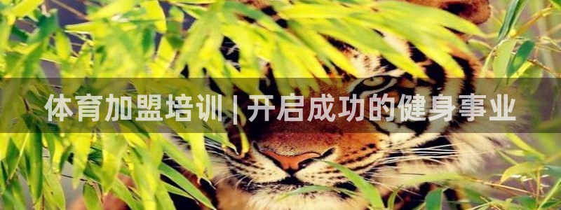 极悦平台代理怎么做的：体育加盟培训 | 开启成功的健