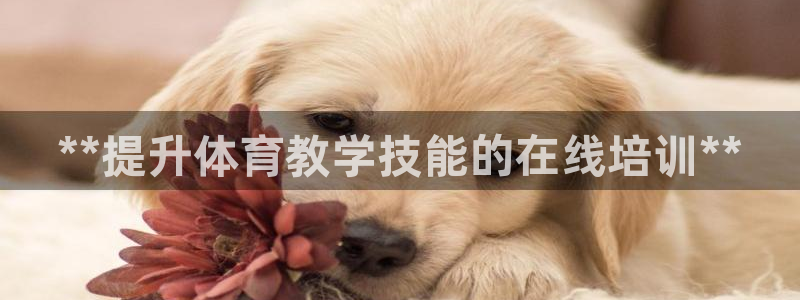 极悦娱乐创始人背景故事是什么：**提升体育教学技能的