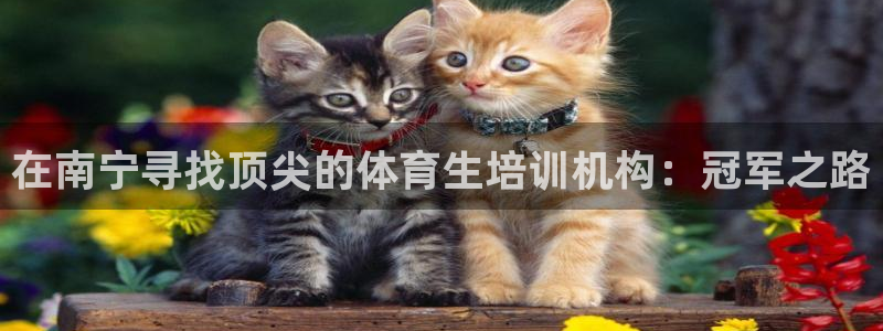 极悦娱乐：在南宁寻找顶尖的体育生培训机构：冠军之路