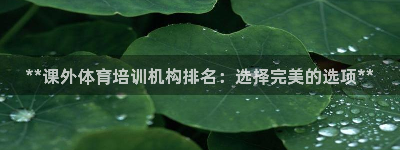 极悦平台平台注册方法与步骤图：**课外体育培训机构排