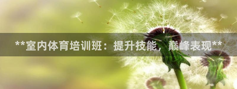 极悦娱乐官网入口下载：**室内体育培训班：提升技能，