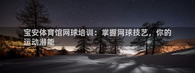 极悦娱乐股东名单：宝安体育馆网球培训：掌握网球技艺，