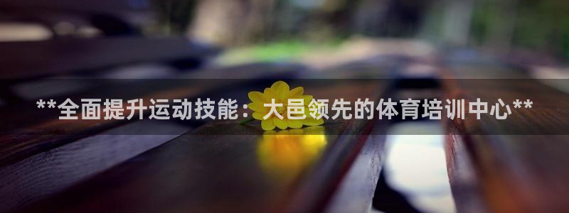 极悦官网入口登录网址：**全面提升运动技能：大邑领先