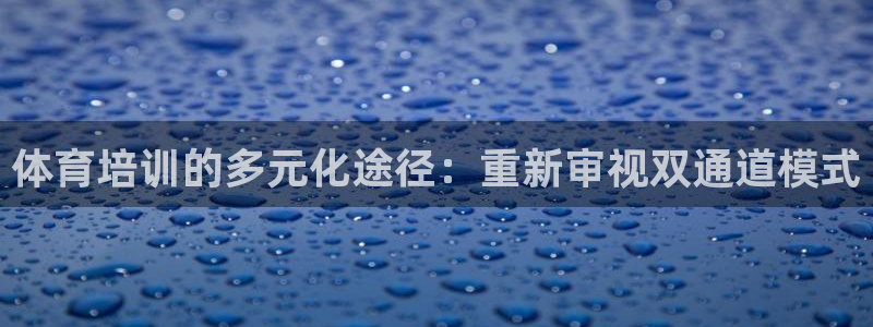 极悦平台登录入口注册：体育培训的多元化途径：重新审视