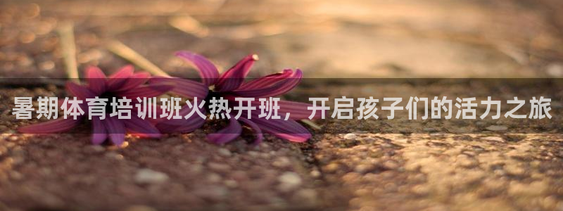 极悦平台网址AGHF8点C0M：暑期体育培训班火热开