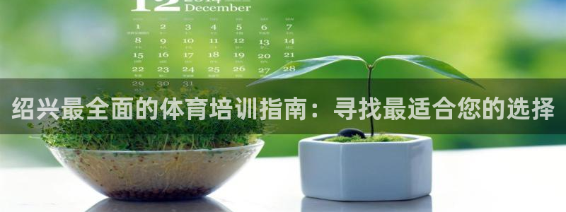 无锡极悦科技有限公司：绍兴最全面的体育培训指南：寻找