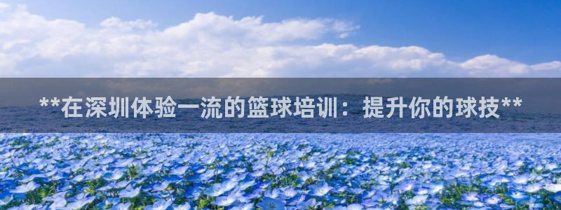 极悦娱乐代理多少钱一个：**在深圳体验一流的篮球培训