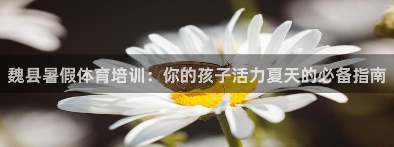 极悦娱乐代理怎么样：魏县暑假体育培训：你的孩子活力夏