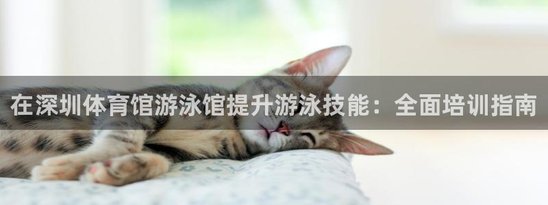 极悦平台注册申请流程详解图：在深圳体育馆游泳馆提升游