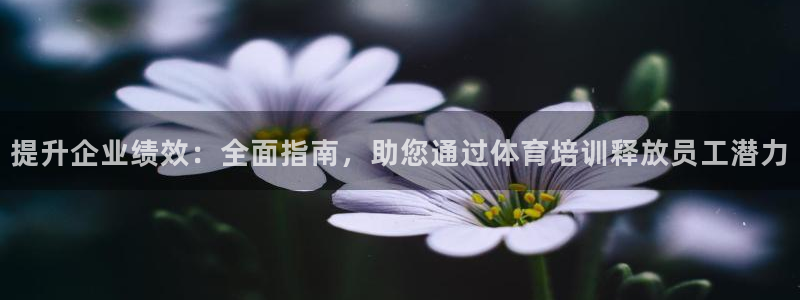 极悦官网：提升企业绩效：全面指南，助您通过体育培训释