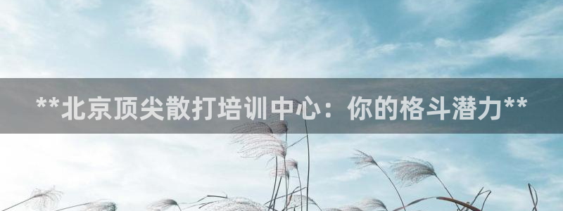 极悦平台官方网址：**北京顶尖散打培训中心：你的格斗