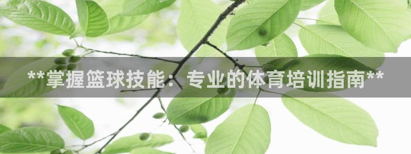 极悦平台登录方式是什么：**掌握篮球技能：专业的体育