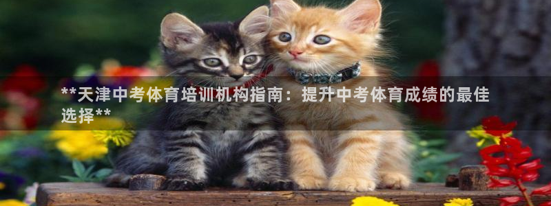 极悦娱乐最新版本更新内容分享：**天津中考体育培训机