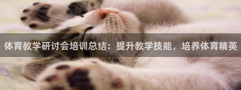 极悦平台平台注册方法与步骤：体育教学研讨会培训总结：