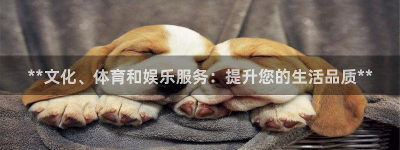 极悦平台和蓝狮平台区别：**文化、体育和娱乐服务：提