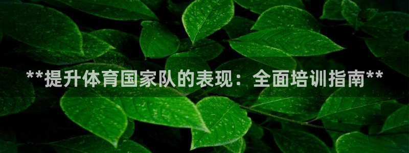极悦娱乐代理怎么样啊：**提升体育国家队的表现：全面