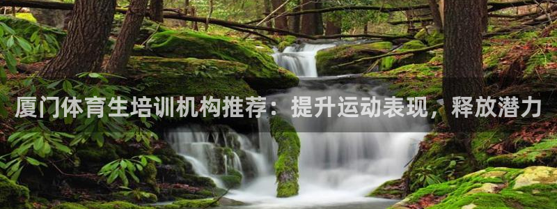 极悦娱乐的最新版本更新内容是什么：厦门体育生培训机构