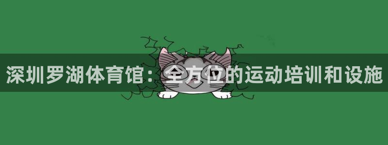 极悦平台有风险吗：深圳罗湖体育馆：全方位的运动培训和