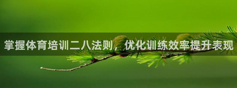 极悦平台是干什么的软件：掌握体育培训二八法则，优化训
