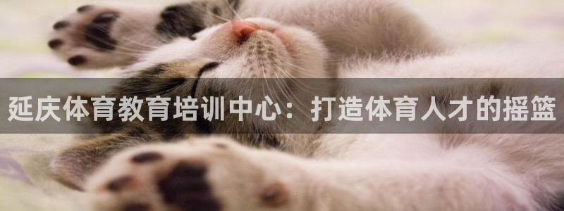 极悦平台app安全吗：延庆体育教育培训中心：打造体育