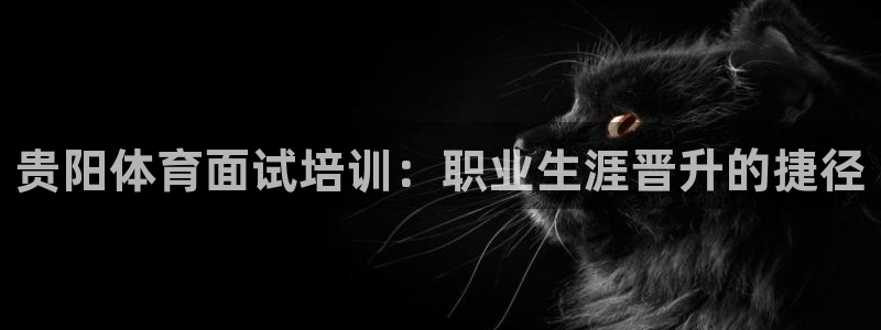 极悦平台登录方式：贵阳体育面试培训：职业生涯晋升的捷
