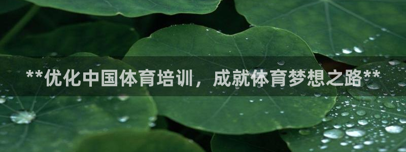 极悦平台有风险吗安全吗：**优化中国体育培训，成就体