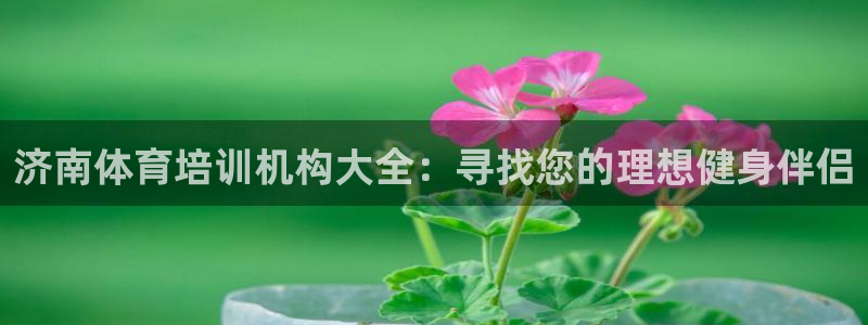 极悦平台官网登录入口：济南体育培训机构大全：寻找您的