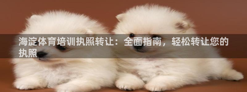 极悦注册：海淀体育培训执照转让：全面指南，轻松转让您