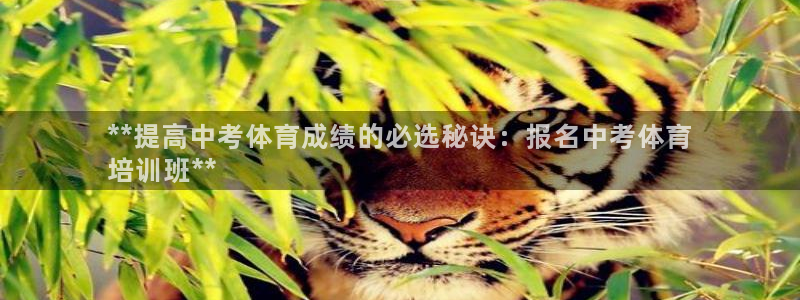 极悦官方网站：**提高中考体育成绩的必选秘诀：报名中
