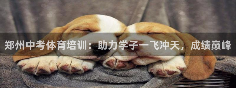 极悦平台网址皮皮虾：郑州中考体育培训：助力学子一飞冲