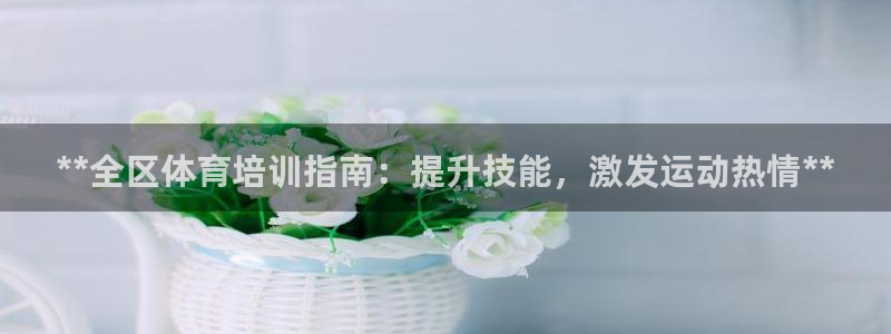 极悦娱乐官方网站：**全区体育培训指南：提升技能，激
