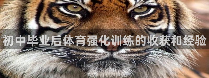 极悦娱乐官网入口下载：初中毕业后体育强化训练的收获和