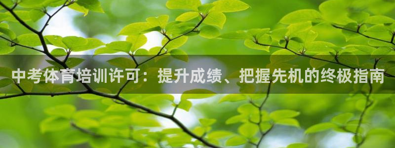 极悦注册：中考体育培训许可：提升成绩、把握先机的终极