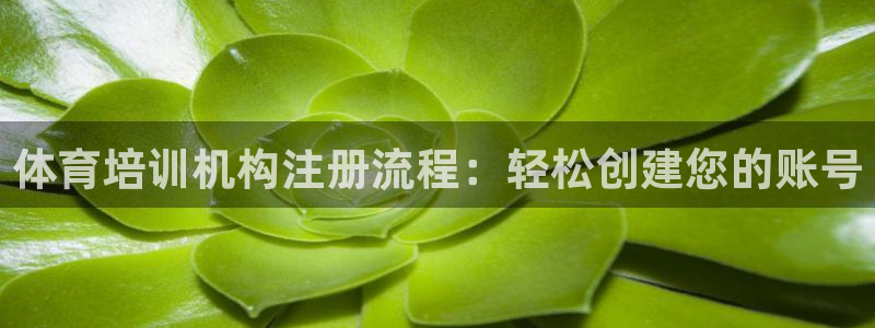 极悦平台登录人7.0.2.4登录入口：体育培训机构注