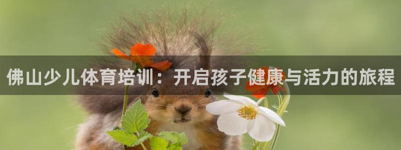 极悦平台反7O777：佛山少儿体育培训：开启孩子健康