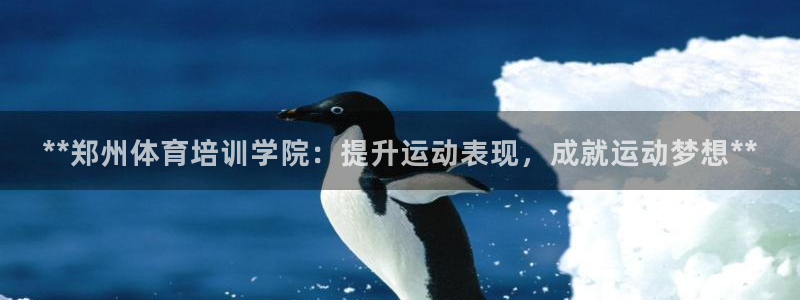 极悦平台使用教程：**郑州体育培训学院：提升运动表现