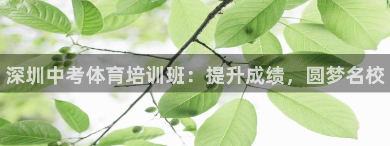 极悦娱乐官网最新版本更新内容：深圳中考体育培训班：提
