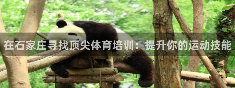 极悦平台决7O777：在石家庄寻找顶尖体育培训：提升