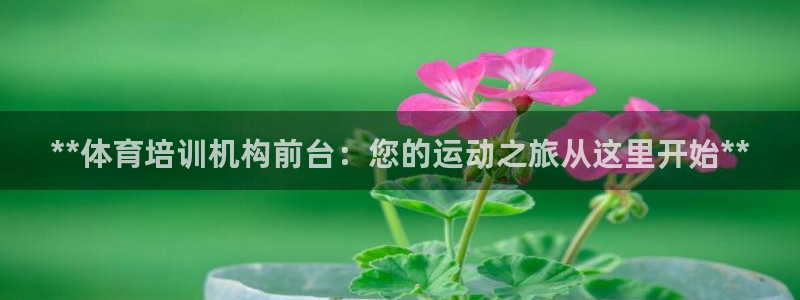 极悦平台保7O777：**体育培训机构前台：您的运动