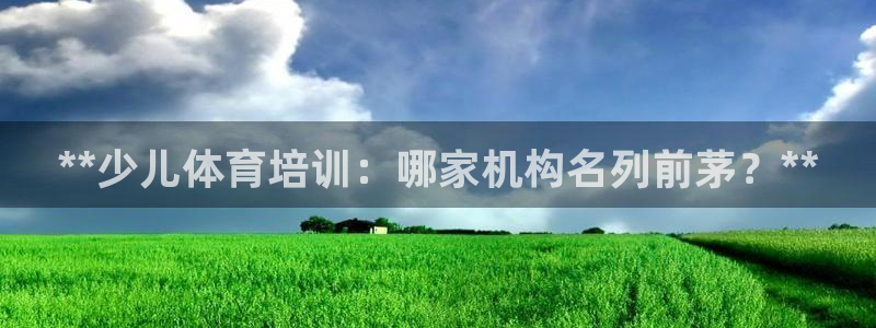 极悦平台使用教程：**少儿体育培训：哪家机构名列前茅