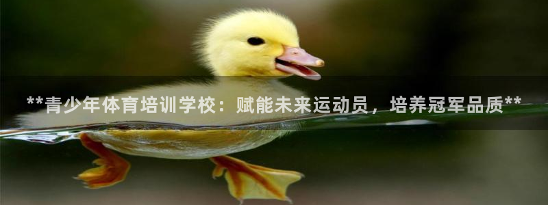 极悦平台代理怎么赚钱的：**青少年体育培训学校：赋能
