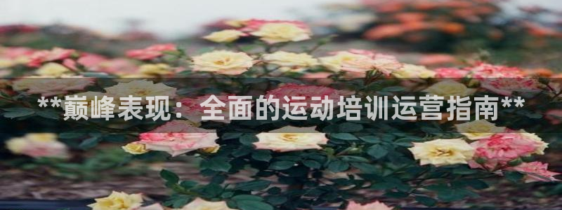 极悦娱乐负责人电话：**巅峰表现：全面的运动培训运营