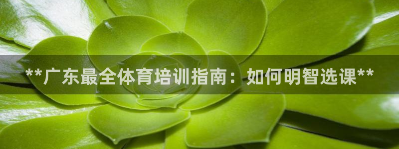极悦平台官网登录最新版本更新内容介绍：**广东最全体