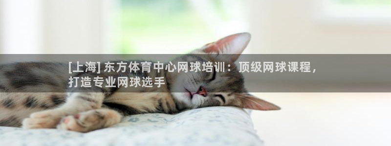 极悦娱乐代理人是谁：[上海] 东方体育中心网球培训：