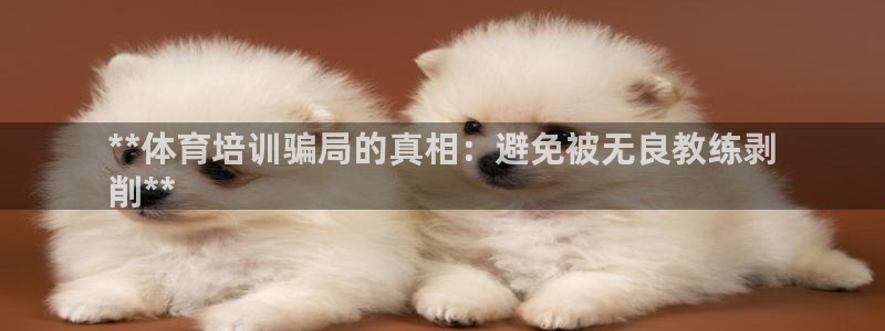 极悦娱乐登录拒绝访问怎么办啊：**体育培训骗局的真相