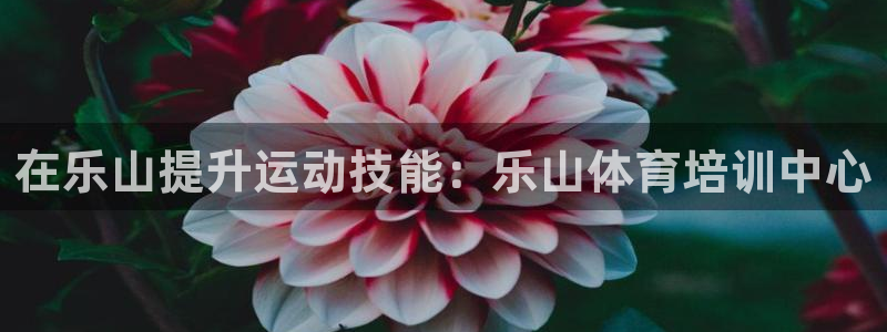 极悦平台是正规平台吗安全吗是真的吗：在乐山提升运动技