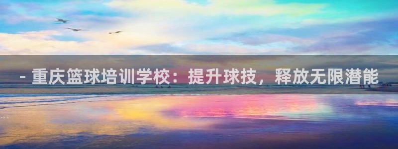 极悦平台代理怎么赚钱的：- 重庆篮球培训学校：提升球