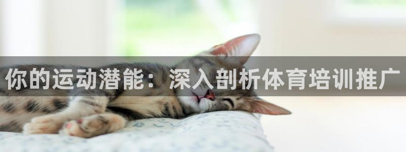 极悦官方网站入口：你的运动潜能：深入剖析体育培训推广