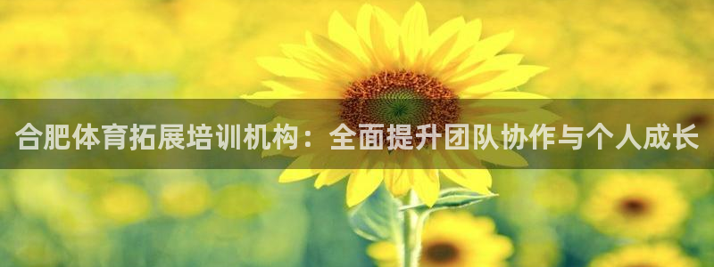 极悦平台官方网址是多少：合肥体育拓展培训机构：全面提