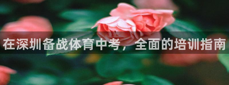 极悦娱乐挂机赚钱是真的吗：在深圳备战体育中考，全面的